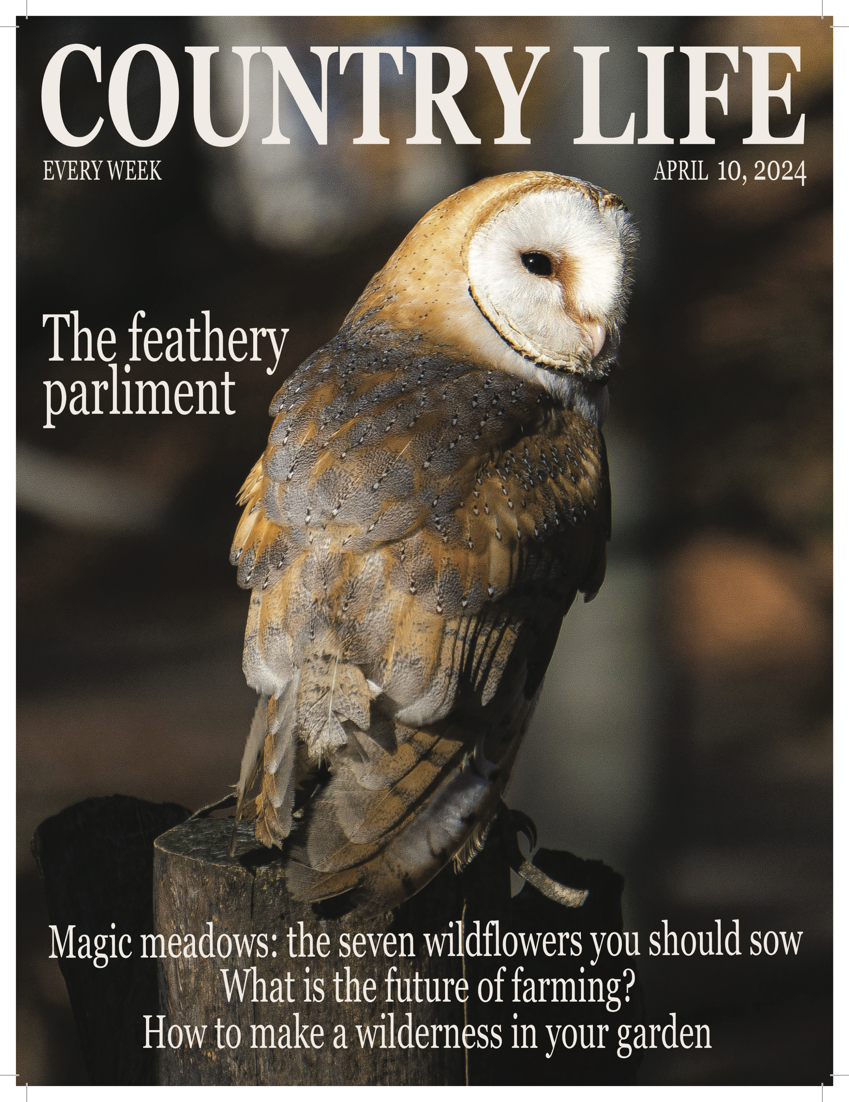 Countrylife InDesign copy